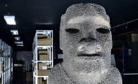 O statuie uriașă Moai se va întoarce pe Insula Paștelui