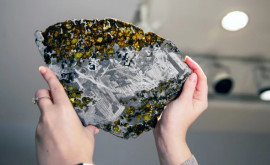 Крупнейшие и самые красивые метеориты выставили на аукцион