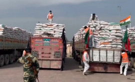 India a trimis 2500 de tone de grâu în Afganistan