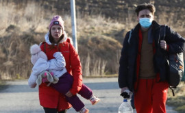 Cîte solicitări de azil din partea cetățenilor ucraineni au fost depuse