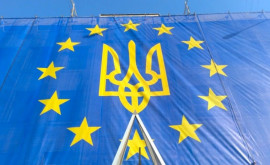 Зеленский просит присоединить Украину к ЕС