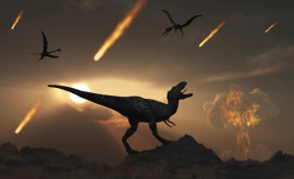 Domnia dinozaurilor pe Pământ sa încheiat primăvara studiu