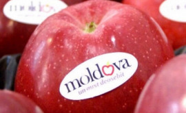 Россия разрешила ввоз фруктов из Молдовы всем производителям 