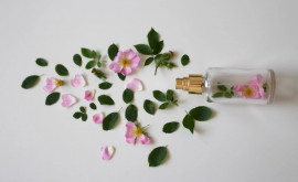 Антистрессароматерапия какие запахи избавят от тревоги