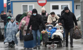 Сколько беженцев попросили убежища в Молдове