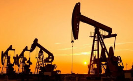 Нефть Brent растет более чем на 3 на фоне неопределенности с поставками
