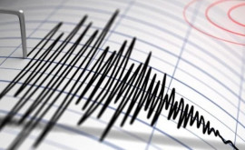 Cutremur în Vrancea Ce intensitate a avut seismul
