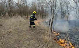 Peste 320 hectare de vegetație stinse de pompieri în ultimele 24 de ore