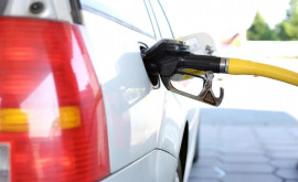 НАРЭ объясняет почему цены на топливо в Молдове не снижаются