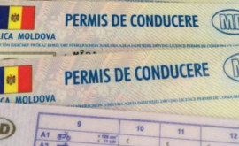 Молдавские водительские удостоверения могут быть признаны в Испании