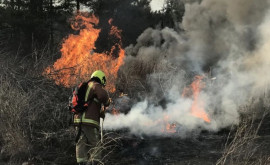 Peste 200 de incendii stinse de pompieri în ultimele 24 de ore