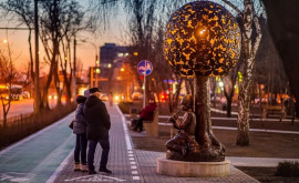 На столичной улице Миорица обустроена новая зеленая зона