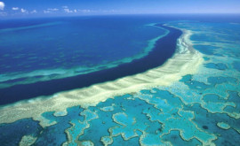 Australia oferă o finanţare de 465 milioane de dolari pentru a proteja Marea Barieră de Corali