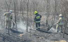 Pompierii îndeamnă populația să nu dea foc ierbii sau gunoiului menajer