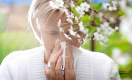 Какие весенние растения вызывают аллергию