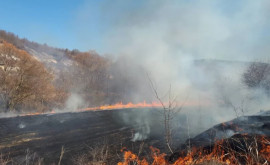 Пожар в приграничной зоне Косэуць