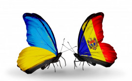 Istorii despre bunătate Sîntem în viață datorită grijii moldovenilor