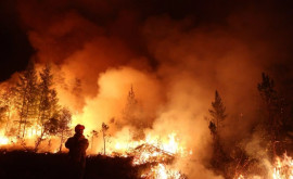 Incendiu de vegetație în apropiere de Durlești