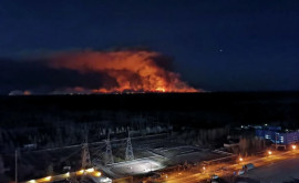 Украина новые лесные пожары вспыхнули в районе Чернобыльской АЭС