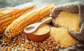 Украина может упустить экспорт 12 млн тонн кукурузы