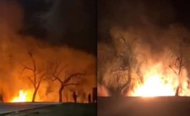 Incendiu de vegetație filmat lîngă o stație PECO din Bălți