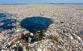 În Oceanul Pacific cresc insule uriașe de gunoi Video