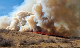 Pompierii au stins 100 de hectare de iarbă uscată la Leușeni