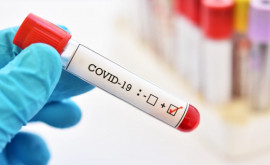 Число новых случаев COVID19 неуклонно снижается