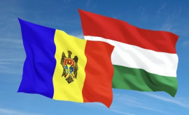 Ungaria a acordat Republicii Moldova cota suplimentară de o mie de autorizații pentru anul 2022