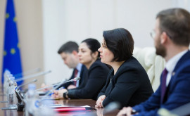 Natalia Gavrilița în discuții cu deputații Bundestagului german