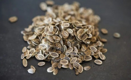 Consumați semințe de mărar și uitați de tensiune arterială