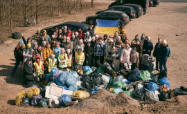 Украинцы помогают убирать парки в городах Польши