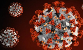 Coronavirus Scădere a numărului de cazuri şi al deceselor de COVID19 la nivel global