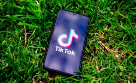 Как использовать TikTok для развития бизнеса