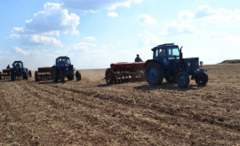 ONU O treime din terenurile agricole din Ucraina nu sînt bune pentru însămînțare