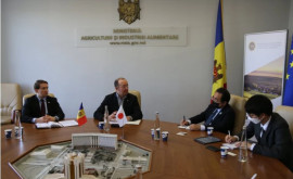 Япония определит новые меры поддержки агропромышленного сектора Молдовы