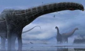 Fosilele celui mai mare dinozaur prădător descoperit pînă acum prezentate public în Argentina