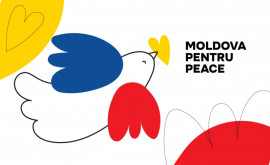 Campania Moldova pentru pace va continua