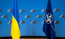 Украина не отказалась от намерения вступить в НАТО