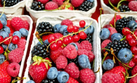 Молдавские производители ягод ищут новые экспортные рынки