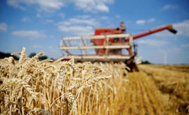 Генсек ООН Продовольственную безопасность в мире не обеспечить без России Белоруссии и Украины 