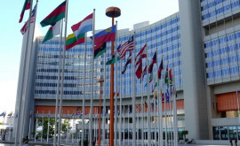 Украина Франция и Мексика требуют созыва заседания Совбеза ООН