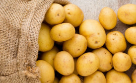În Moldova se scumpesc cartofii
