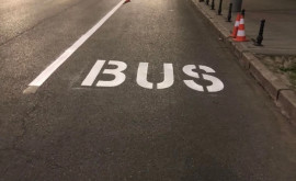 Внимание водители На бульваре Штефан чел Маре появятся выделенные полосы для общественного транспорта 