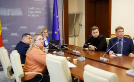 Парламентские комиссии Молдовы и Италии обсудили вопросы европейской интеграции