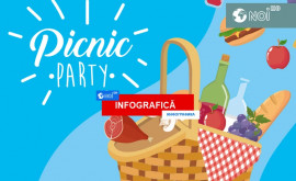 Cum organizezi corect un picnic în natură INFOGRAFIC