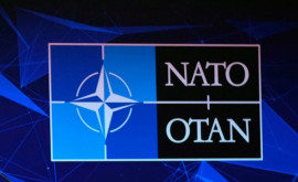 Președintele Finlandei la sunat pe Putin săi spună că țara sa va adera la NATO