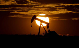 ФРГ прекратит импорт нефти из РФ к концу года даже при отсутствии эмбарго ЕС