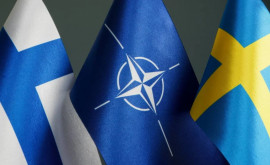 Швеция отправит делегацию в Турцию для обсуждения заявки в НАТО