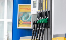 Опрос Noimd Может ли рост цен на топливо заставить вас отказаться от автомобиля